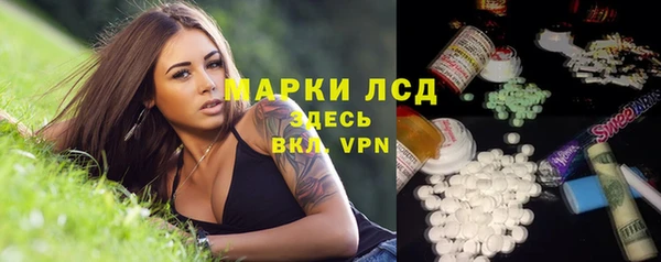 крисы Баксан