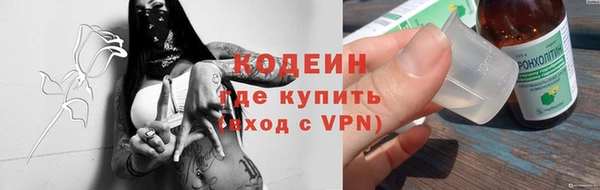 индика Сосновоборск
