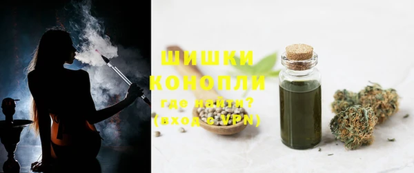 индика Сосновоборск