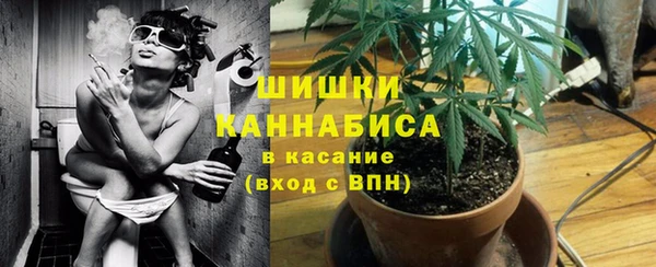 крисы Баксан