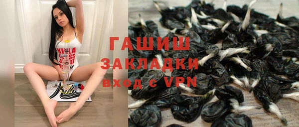 индика Сосновый Бор