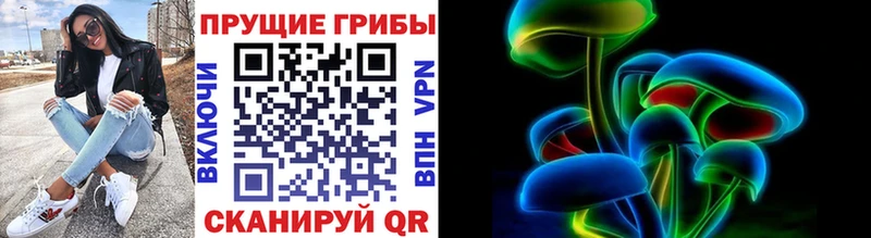 Псилоцибиновые грибы Cubensis  хочу наркоту  Верхняя Салда 
