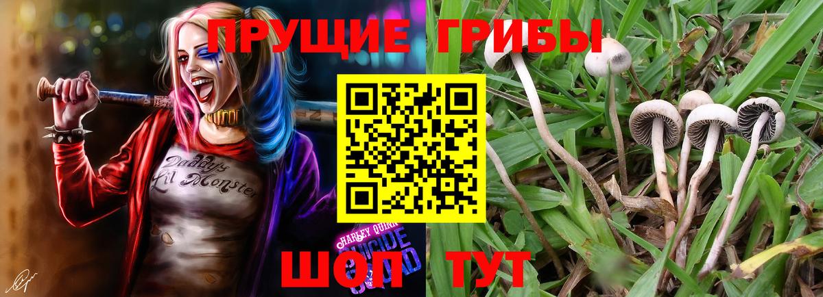 Галлюциногенные грибы прущие грибы  Галлюциногенные грибы прущие грибы  Верхняя Салда  Вход с VPN 