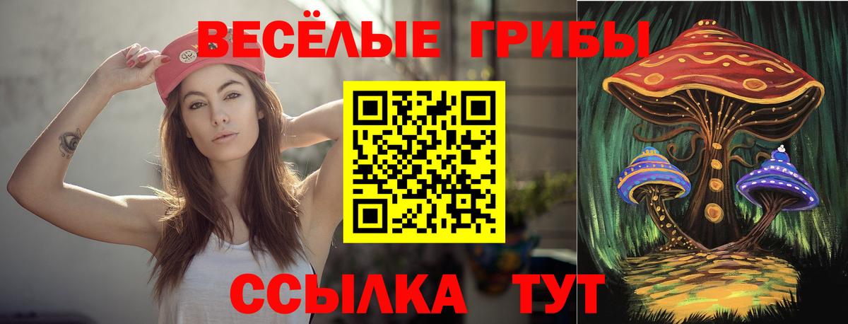 Псилоцибиновые грибы мухоморы Верхняя Салда